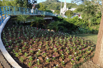 Embelezamento da cidade