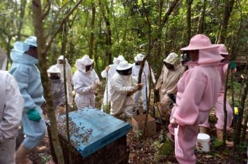 Terceira etapa do curso de apicultura 