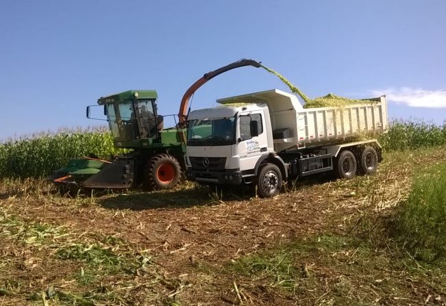 Prefeitura aumenta subsídio para silagem