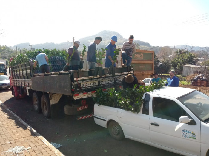 Município entrega mudas de citros