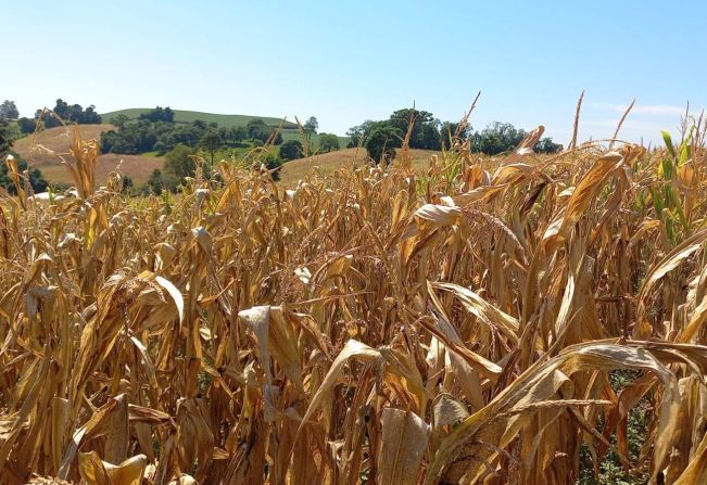 Prefeitura decreta situação de emergência por causa da estiagem