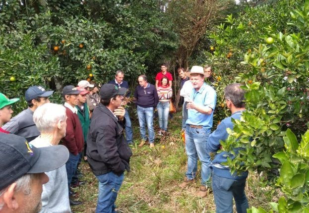 Produtores participam do curso de Citricultura