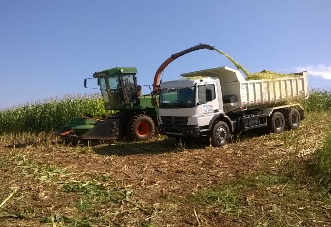 VEREADORES AUMENTAM BENEFÍCIO PARA SILAGEM 