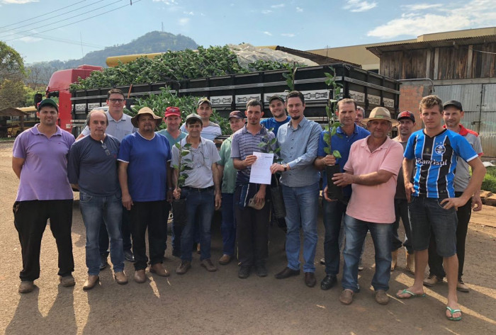 Prefeitura entrega 14 mil mudas de laranja