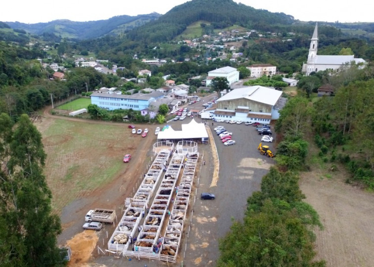Remate de terneiros rendeu bons negócios 