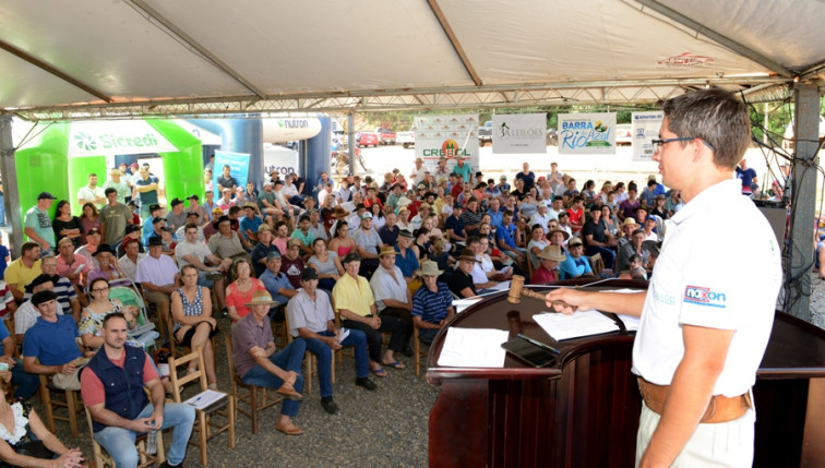 Remate de terneiros teve resultado positivo