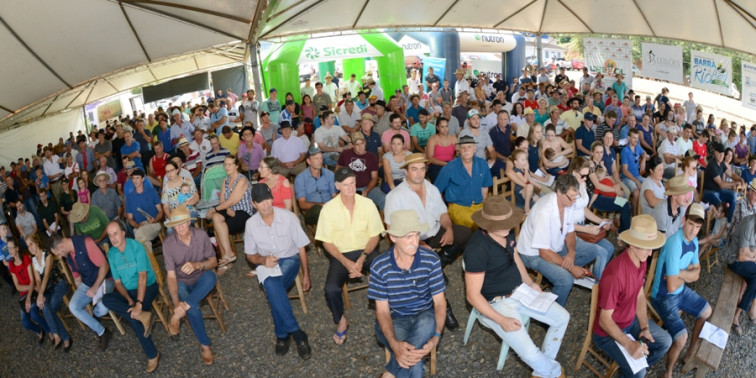 Remate de terneiros teve resultado positivo