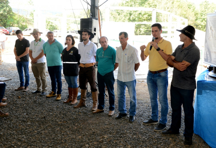 Remate de terneiros teve resultado positivo