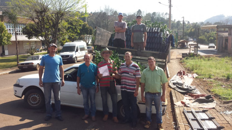 Barra do Rio Azul incentiva agricultura com a distribuição de mudas de citros