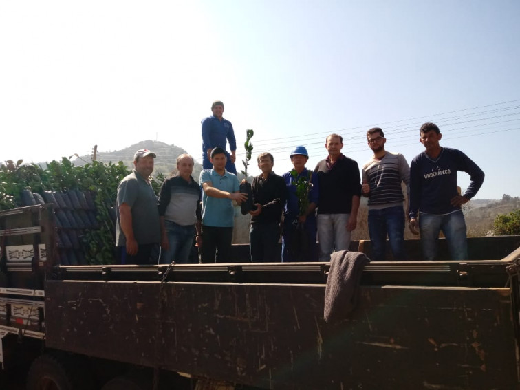 Barra do Rio Azul incentiva agricultura com a distribuição de mudas de citros