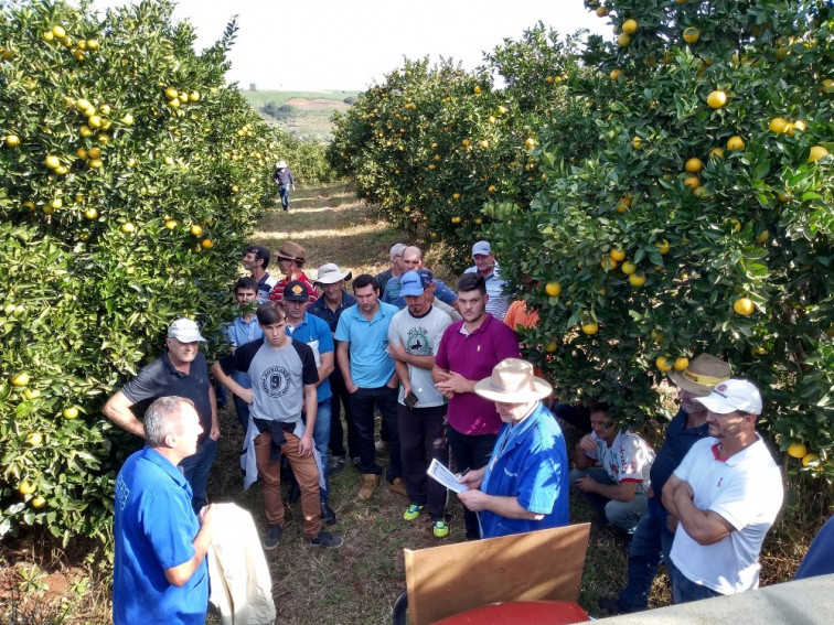 3º Módulo do Curso de Citricultura é realizado no Município