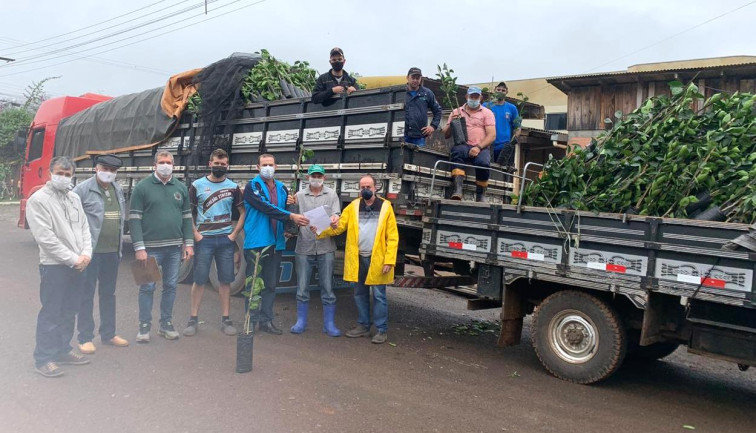 MUNICÍPIO ENTREGA MAIS 4 MIL MUDAS DE CITRUS