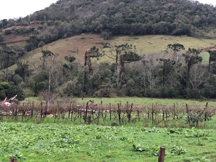 TEMPORAL CAUSA ESTRAGOS NO MUNICÍPIO