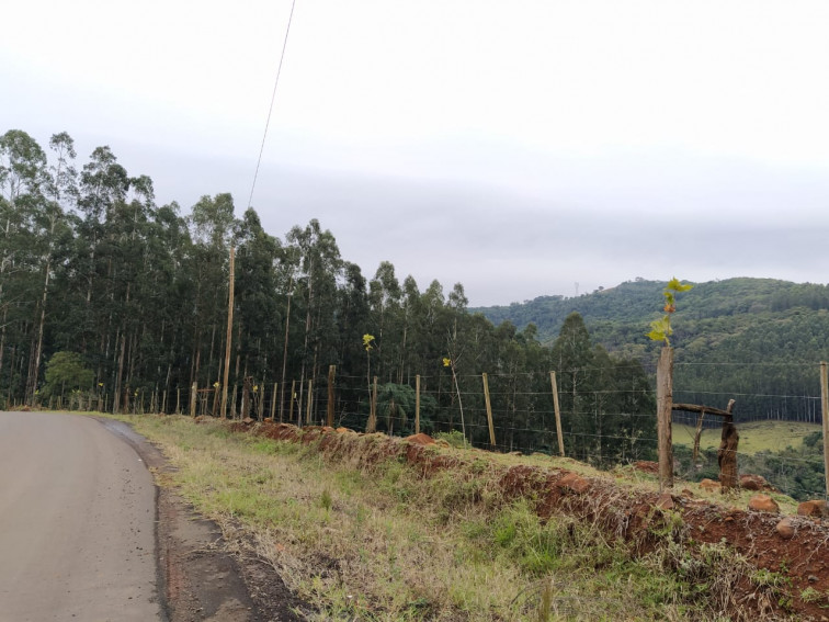 PROJETO DE ARBORIZAÇÃO