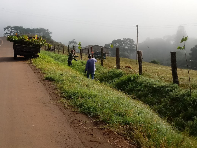 PROJETO DE ARBORIZAÇÃO