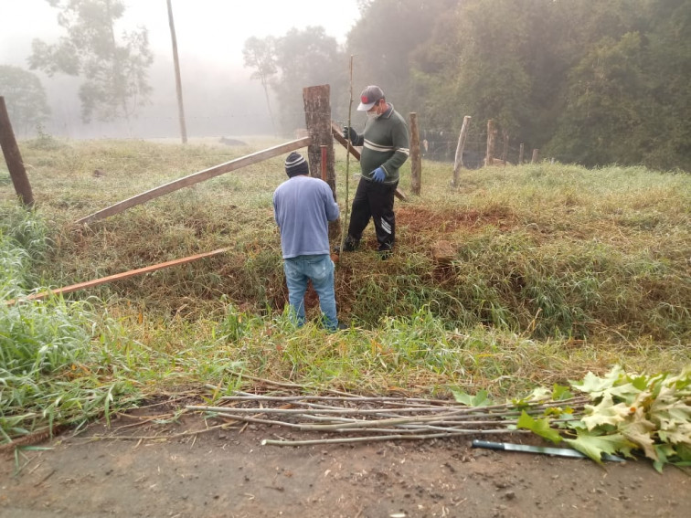 PROJETO DE ARBORIZAÇÃO