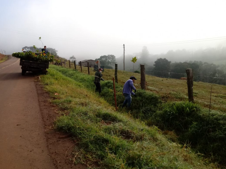PROJETO DE ARBORIZAÇÃO
