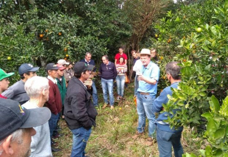 Produtores participam do 2º módulo do curso de Citricultura