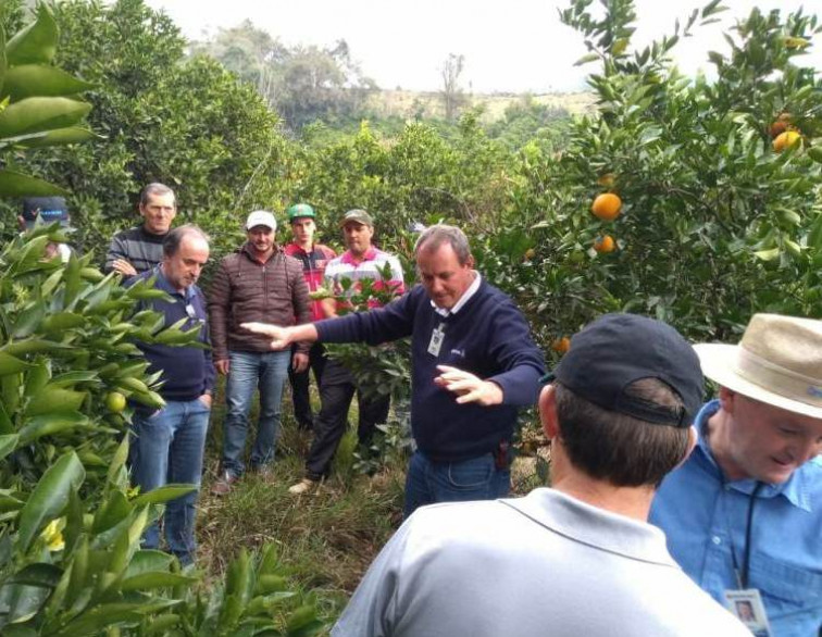 Produtores participam do 2º módulo do curso de Citricultura