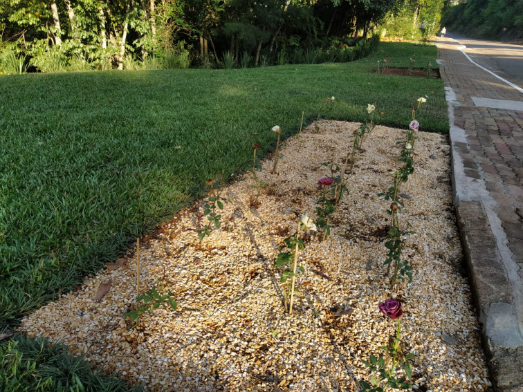 Embelezamento da cidade