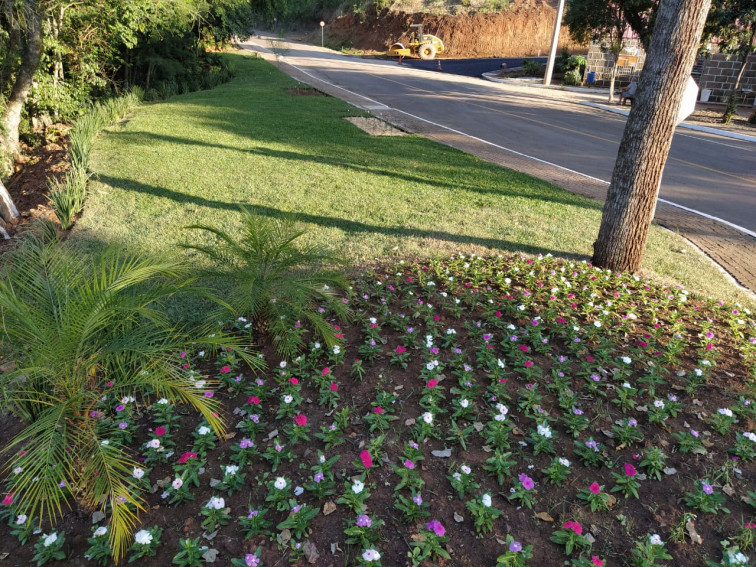 Embelezamento da cidade